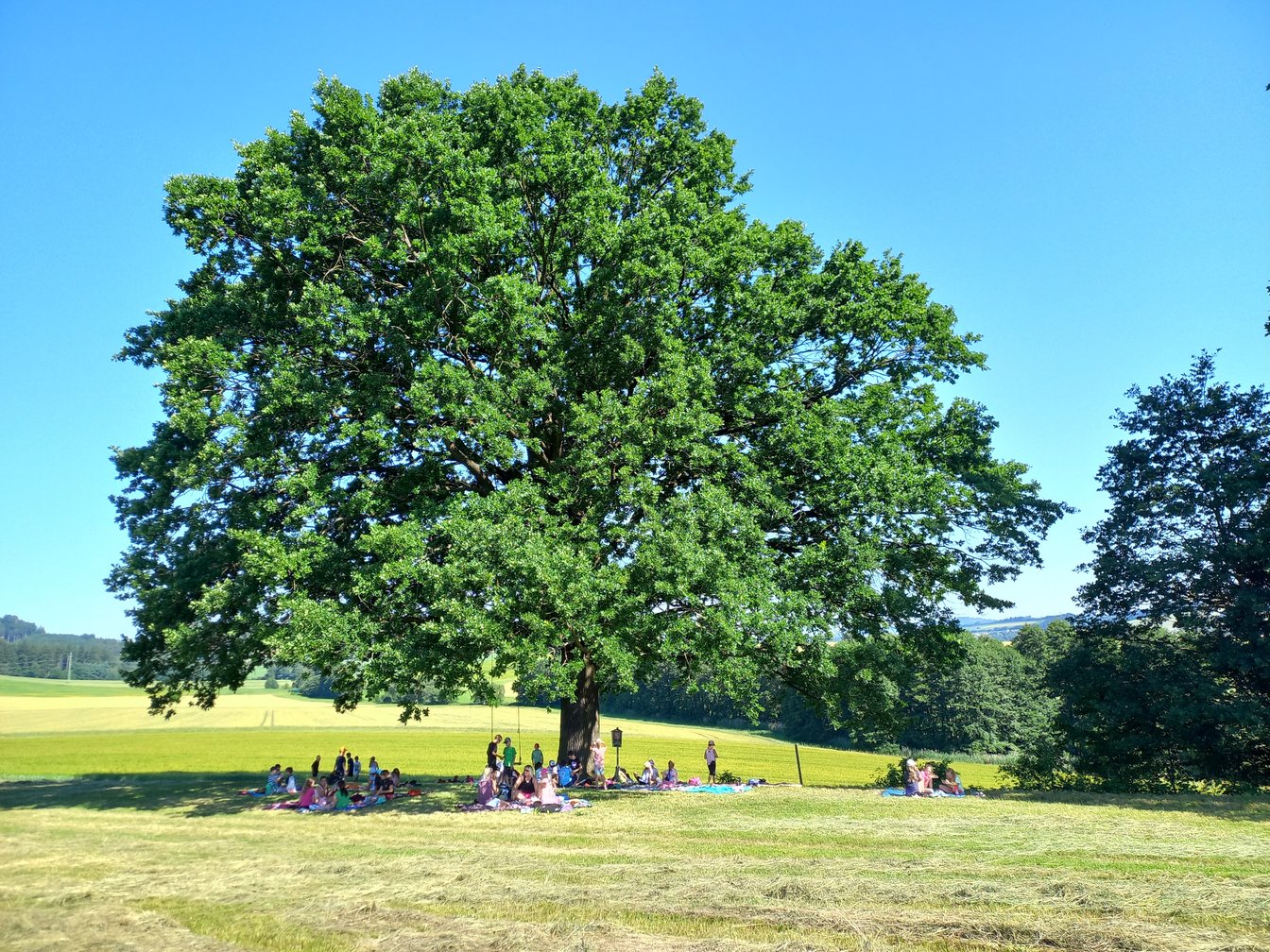 Piknik 1., 2. a 3. třídy