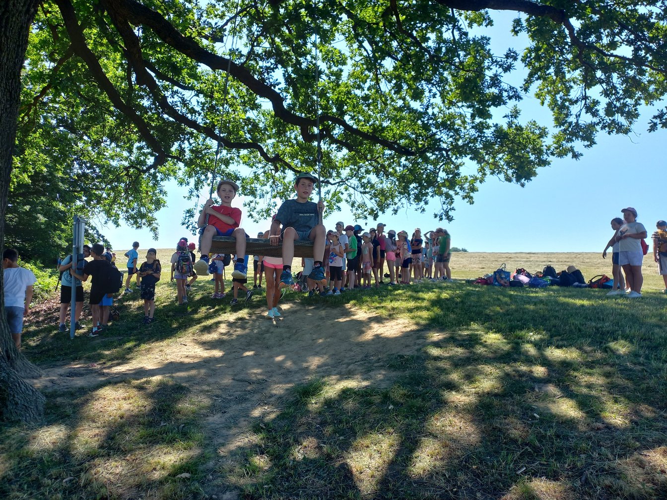 Piknik 1., 2. a 3. třídy