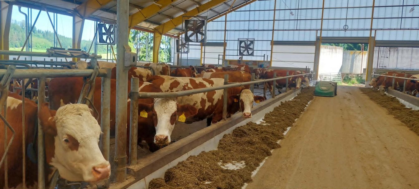4.B na farmě ve Rvištích