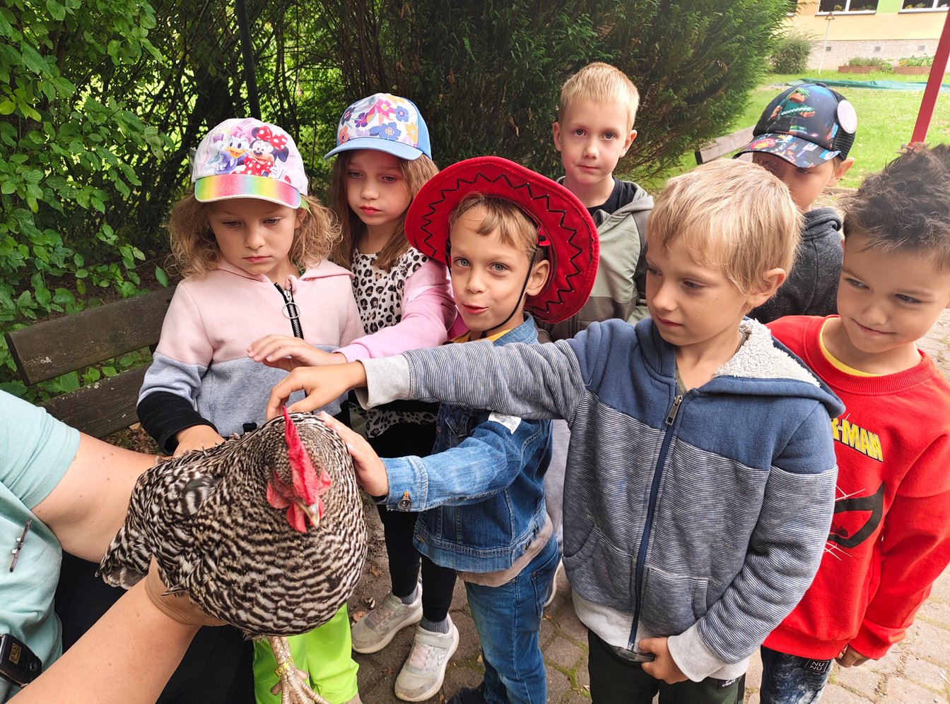 Beseda o slepičkách s živou ukázkou - 2. třída