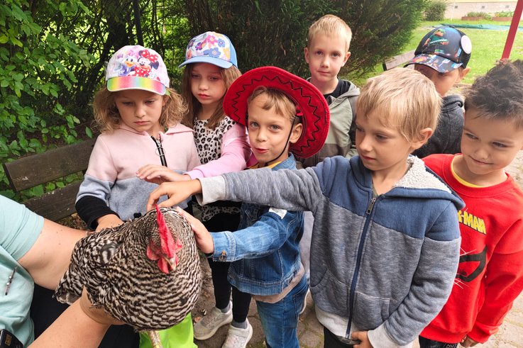 Beseda o slepičkách s živou ukázkou - 2. třída