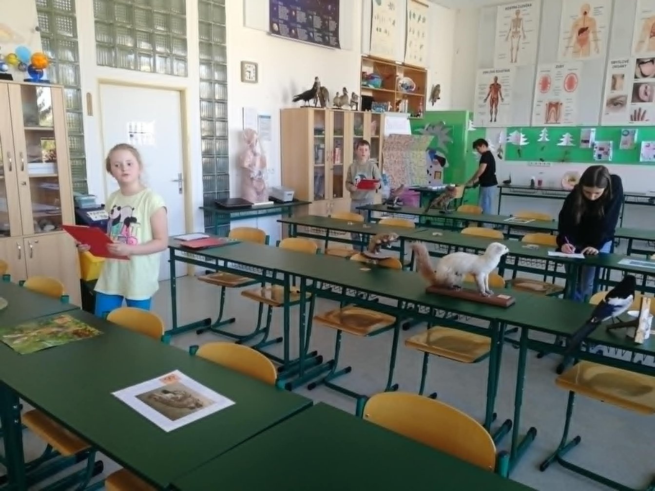 Žáci na soutěži v poznávání přírodnin