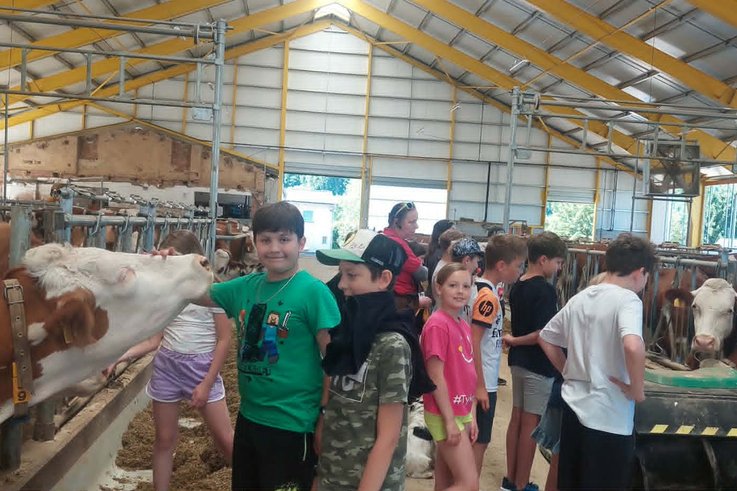 4.B na farmě ve Rvištích