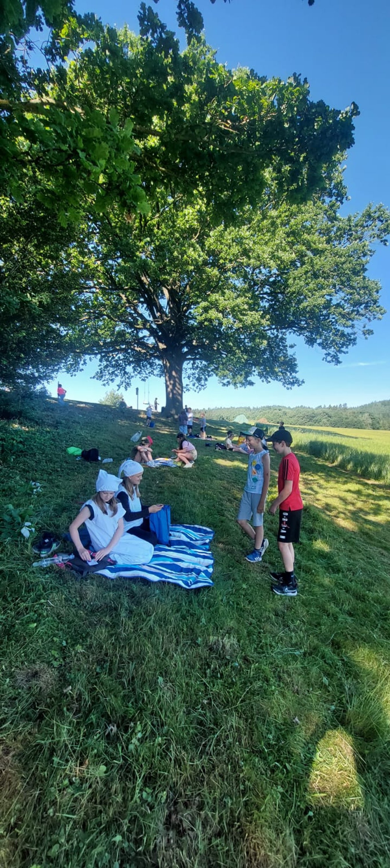 Pohádkový les na 1. stupni