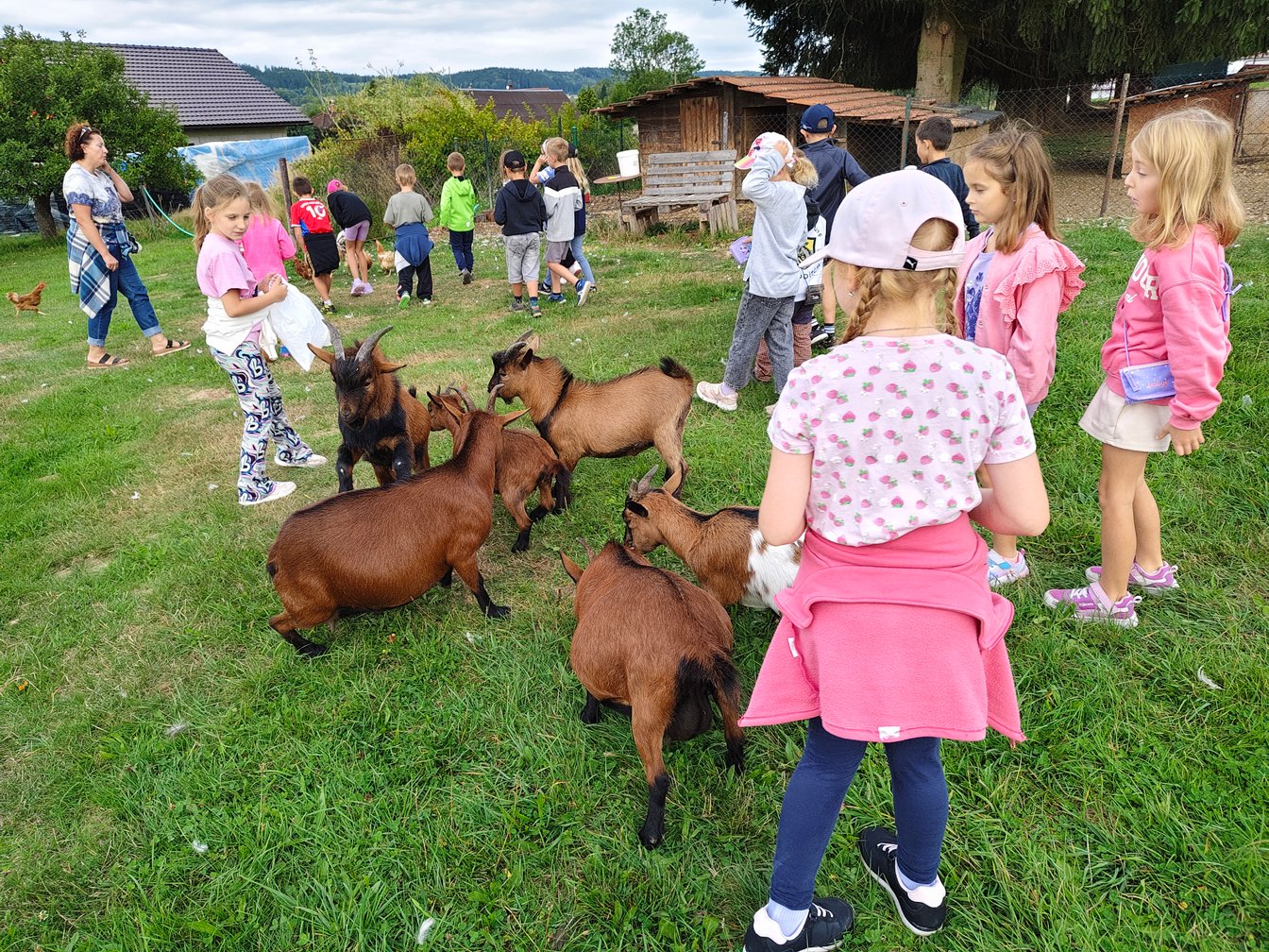 Návštěva zahradnictví Na statku - 2. třída