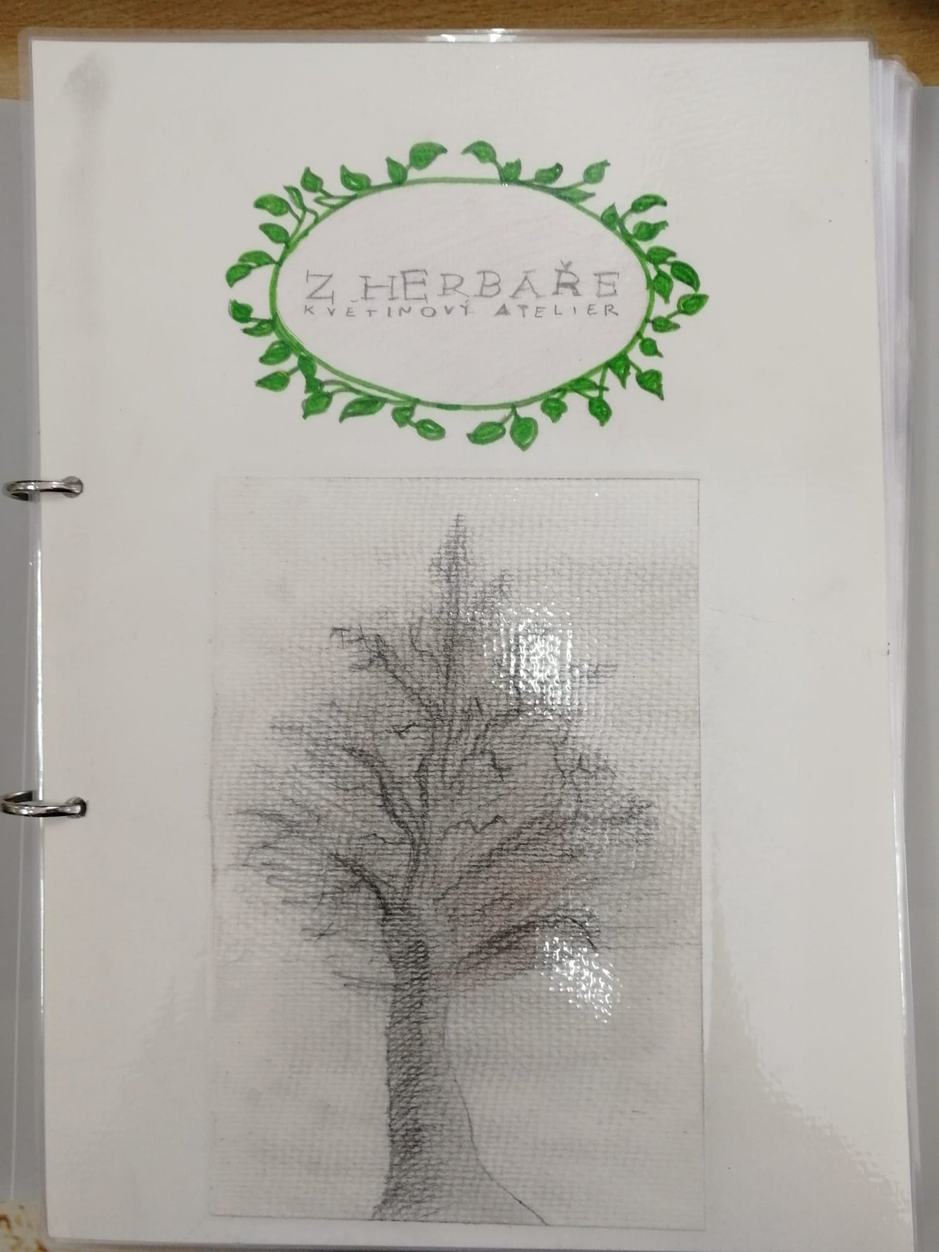 Ukázky květin z herbářů